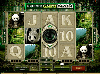 Игровой автомат Untamed Giant Panda - фото № 1
